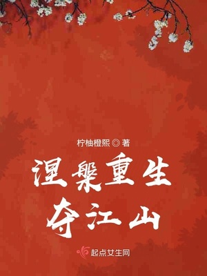 无贼电视剧全集48集免费播放